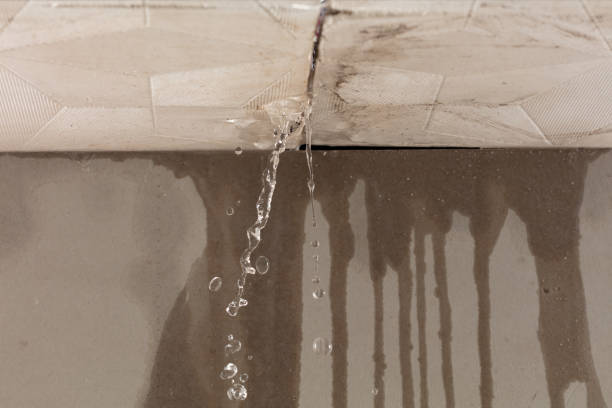 Professional Sewage Cleanup technician working in New Melle, MO